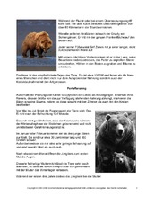Grizzly-Steckbrief-Seite-2.pdf